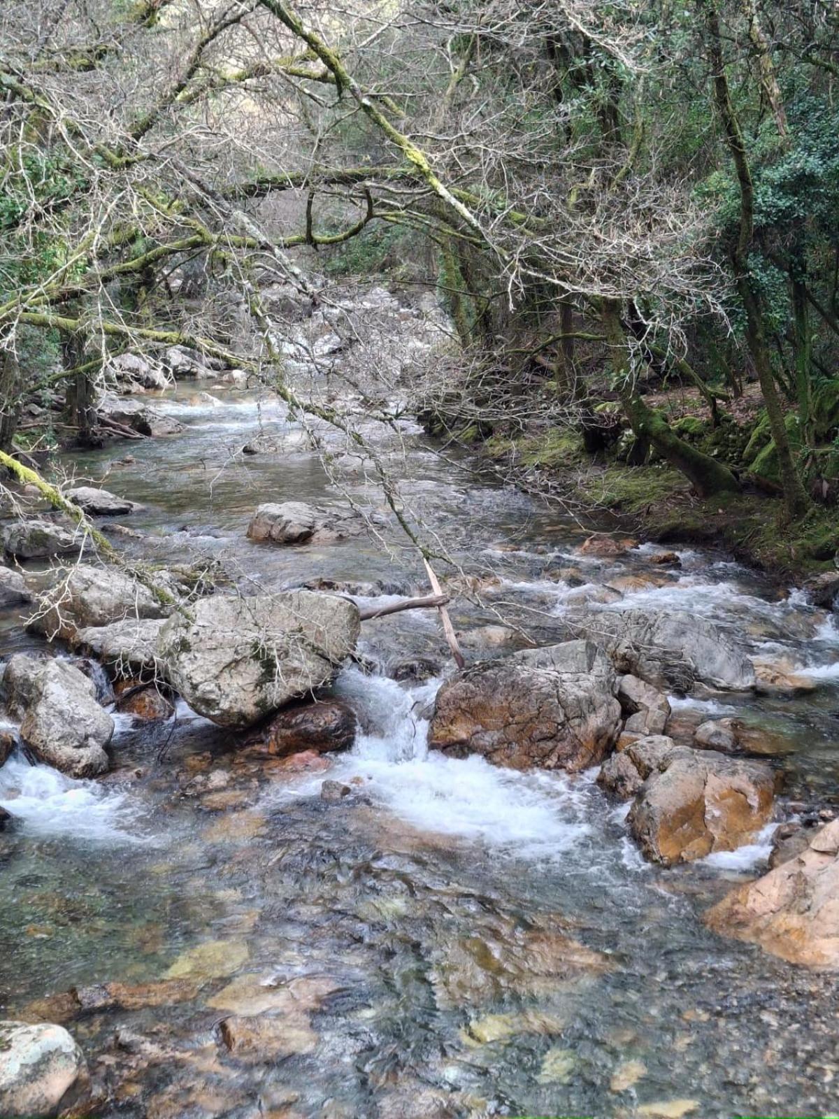 Готель Quinta Mata Da Se Міранда-ду-Корву Екстер'єр фото
